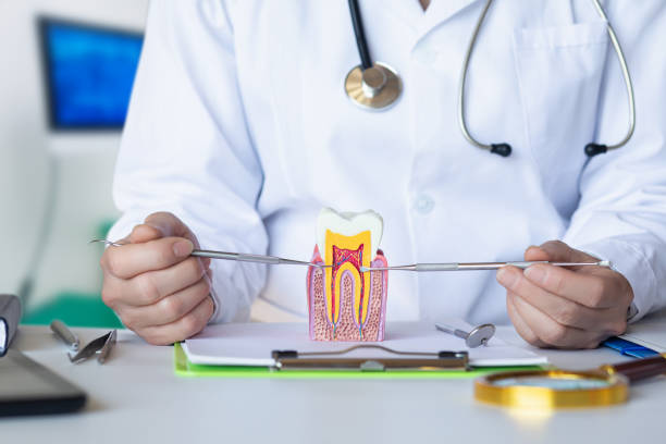 Best Emergency Dental Filling Replacement  in Acworth, GA